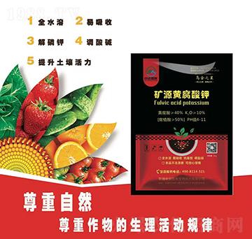 �VԴ�S�����-�а�����