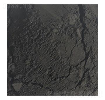 ��ֲ��ԭ��-��W�Ƽ�