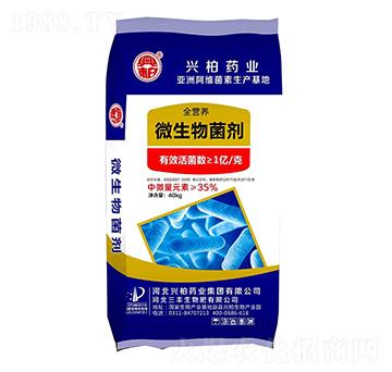 ȫ�I�B(y��ng)΢�������-�����S