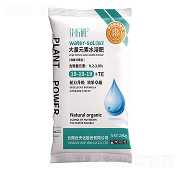 微量元素型大量元素水溶肥19-19-19-TE-花匠鋪-百鎂
