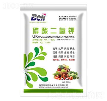 ��������-Ӣ��(gu��)����-�տ���