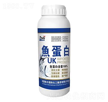 �M(j��n)���~(y��)����-Ӣ��(gu��)����-�տ���