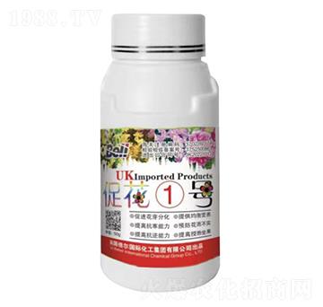 �ٻ�1̖(h��o)-Ӣ��(gu��)����-�տ���