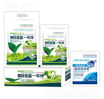 �S�~����һ���G+�����T����-�ֵϾ�