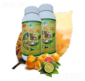 �G֮���~���-�G���r�I(y��)