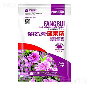 �ٻ��ڷ�������-����