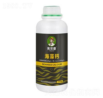 �����}-Ӣؐ��