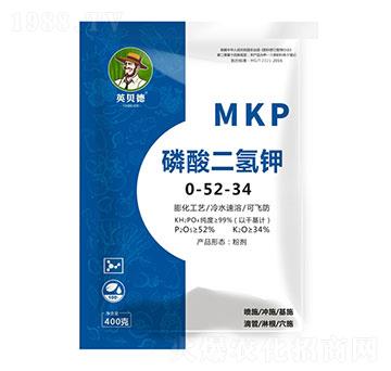 ��������0-52-34-Ӣؐ��