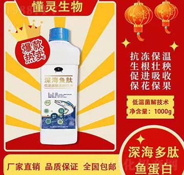 1000g��~��-���`����