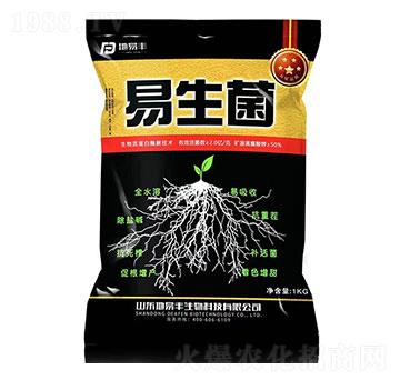 ������-�����S