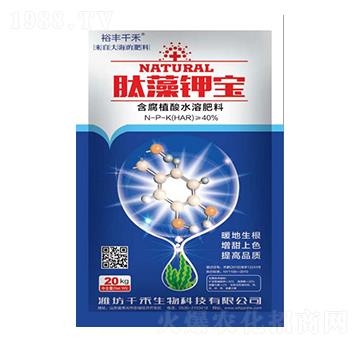 ����⛌�-�������