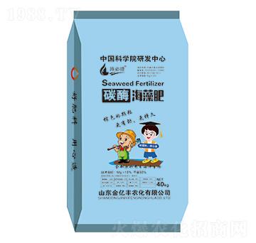 ̼ø�����-���|�S