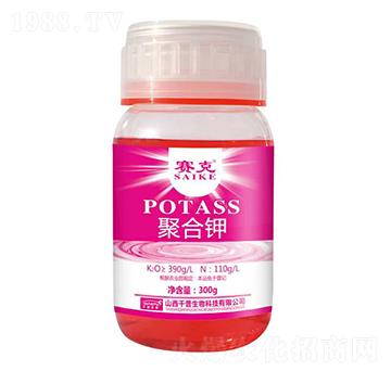 �ۺ��-ِ��-�_�_�ʘI(y��)