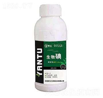 �����-��������