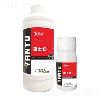 �����Dɫ�������t-��������