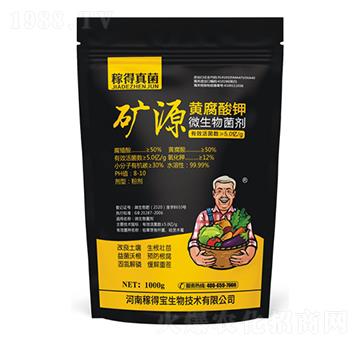 �VԴ�S�����΢�������-�ڵÌ�����