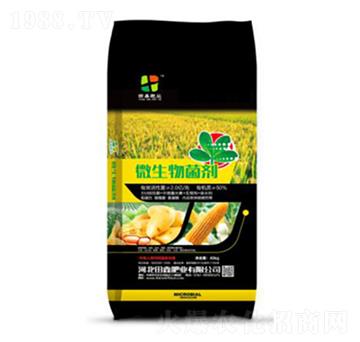 ΢�������-���ηʘI(y��)