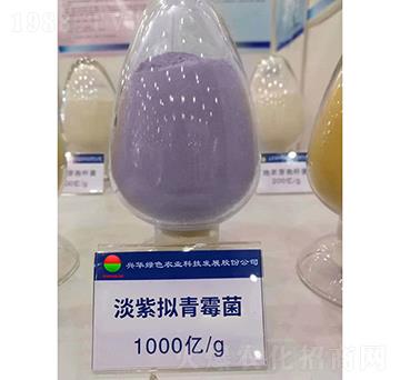 ������ù��-�d�A�Gɫ