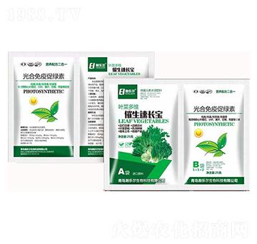 �~�˶�S�������L��+��