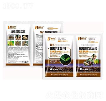 ��(qi��ng)���������焩+������