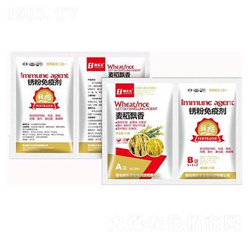 �����h��+�P�����߄�-