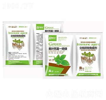 �S�~����һ���G+�����