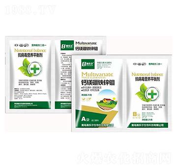 �}�V���\�f+�������I�B(y��ng)