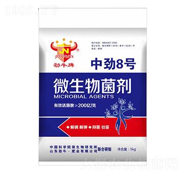中勁8號微生物菌劑-勁牛