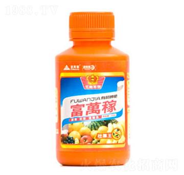 �ѹ���-���f(w��n)�