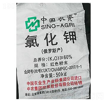 �Ї�(gu��)�r(n��ng)�Y���Ȼ�⛣��tɫ��ĩ��-¡���r(n��ng)�Y