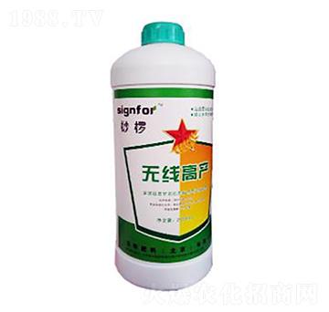 �o���߮a-���A����