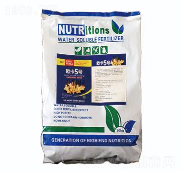 �W��5̖-�W������