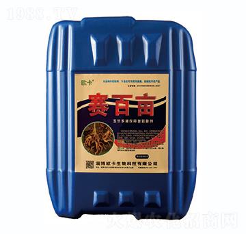 ��������r����Ч����-ِ�ٮ�-�W������