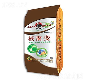 �˾�׃-�Ʒ��r(n��ng)�I(y��)