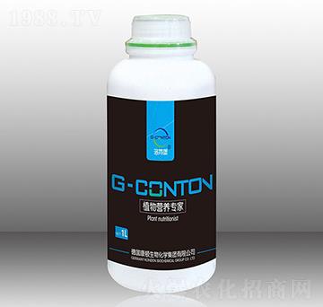 G-CONTON��ֲ��I(y��ng)�B(y��ng)����-��ұ�-�A����
