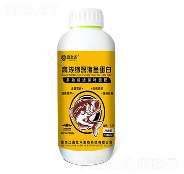 �ߝ�s��~(y��)����-���˺�