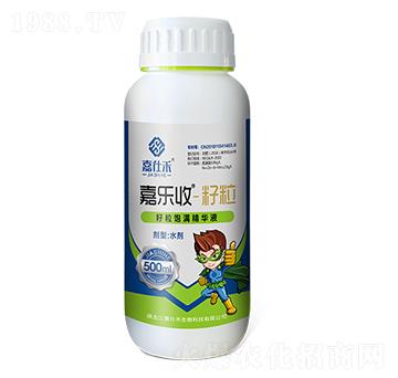 ����M���AҺ-�Θ���-���˺�