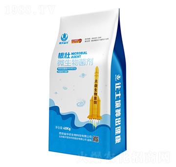 ΢�������-����-�������A