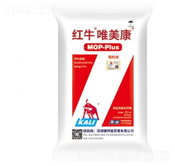 �tţΨ����-���·���