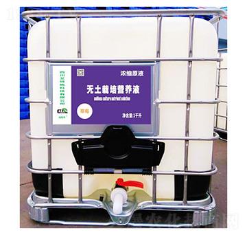 草莓無土載培營養(yǎng)液（濃縮原液）-滴施邦-艾特施