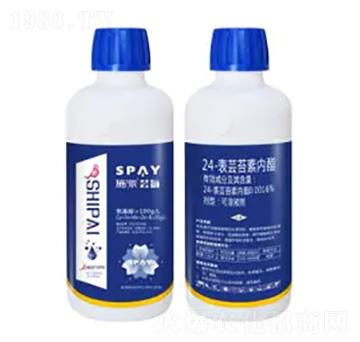 24-���|̦�؃�֬-�|��-ʩ������