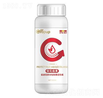 刺激生長(zhǎng)類(lèi)葉面肥-棵諾-新都化工