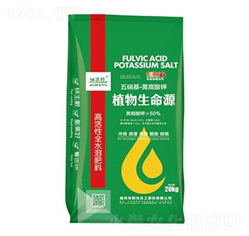 ���������S�����-������-ꖹ⻯��