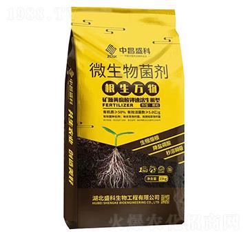 �����f��΢�������-�в�ʢ��-ʢ������