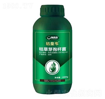 �ݲ�ѿ�ߗU��-�s���f-������