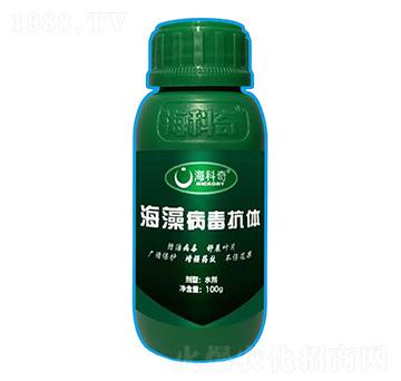 ���岡�����w-������