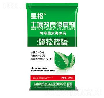 ���������ޏ̈́�-�Ǹ�-��������