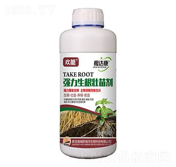 1000g�g�ܡ����_���������������焩-����˹