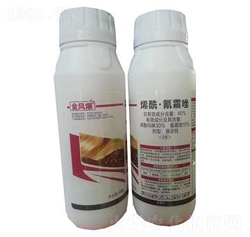 40%ϩ������˪��Ҹ���500g-���L(f��ng)��-�G������