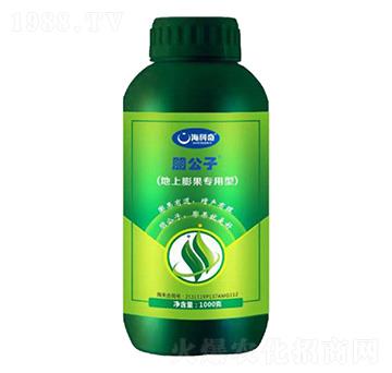 ������������ʹ���Ԫ��ˮ�ܷ���-����-������